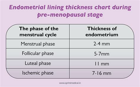 endometrial lining thickness chart normal